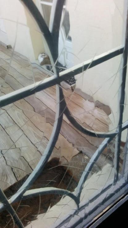 Chambre En Ville Dans Un Esprit Campagne Troyes Ngoại thất bức ảnh